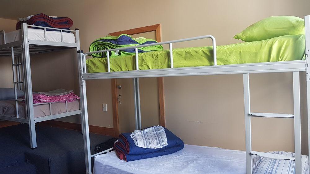 Hostel Wild Zebra Backpackers Wellington Exterior foto
