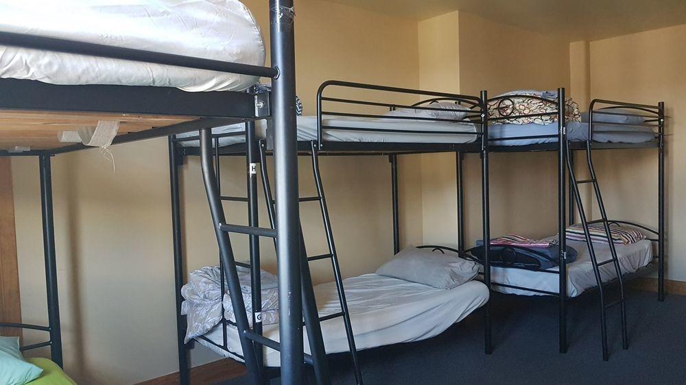 Hostel Wild Zebra Backpackers Wellington Exterior foto