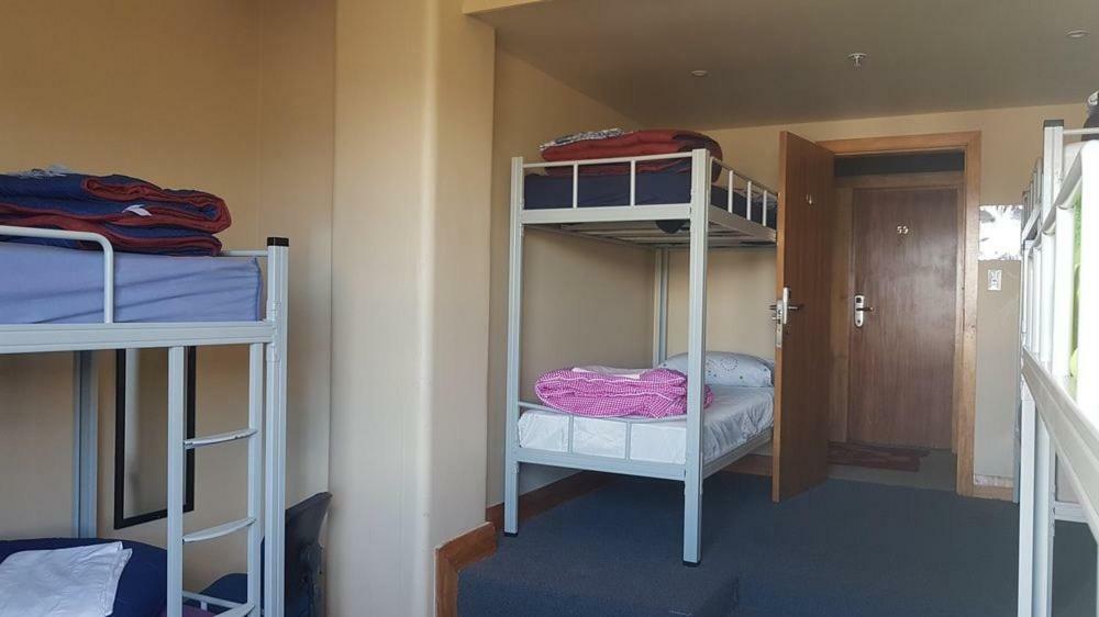 Hostel Wild Zebra Backpackers Wellington Exterior foto